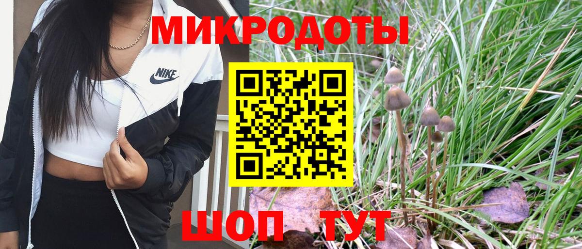 Псилоцибиновые грибы GOLDEN TEACHER Уссурийск