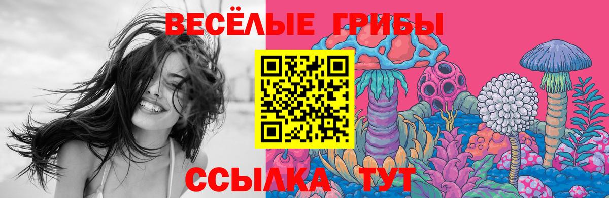 Уссурийск  Галлюциногенные грибы мицелий  Вход с VPN 